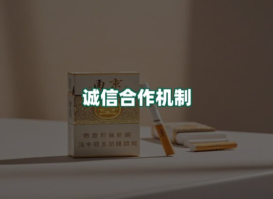 核心优势